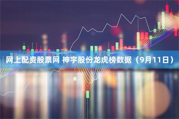 网上配资股票网 神宇股份龙虎榜数据（9月11日）